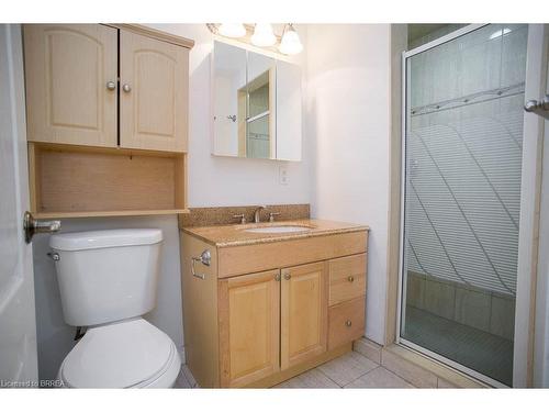 240 Johnson Road, Brantford, ON - Indoor Photo Showing Bathroom