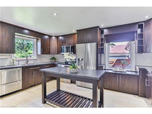 25 Charles Street, Simcoe, ON - Indoor Photo Showing Kitchen With Stainless Steel Kitchen With Double Sink