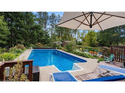 11 Ravine Crescent, Townsend, ON - Outdoor With In Ground Pool With Backyard