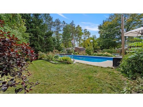 11 Ravine Crescent, Townsend, ON - Outdoor With In Ground Pool With Backyard