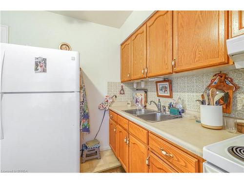 120 Alfred Street, Brantford, ON - Indoor Photo Showing Kitchen With Double Sink