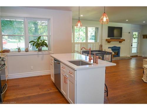 378 Mount Pleasant Road, Brantford, ON - Indoor Photo Showing Other Room With Fireplace