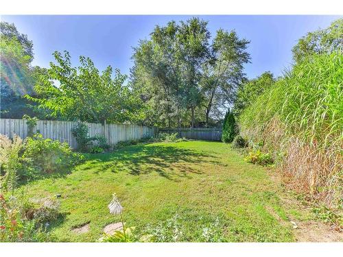 163 Florence Street, Hamilton, ON - Outdoor With Backyard