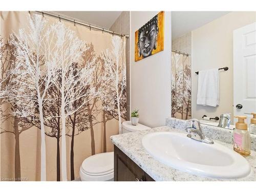 247 Powell Road, Brantford, ON - Indoor Photo Showing Bathroom