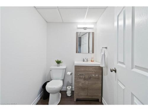 247 Powell Road, Brantford, ON - Indoor Photo Showing Bathroom