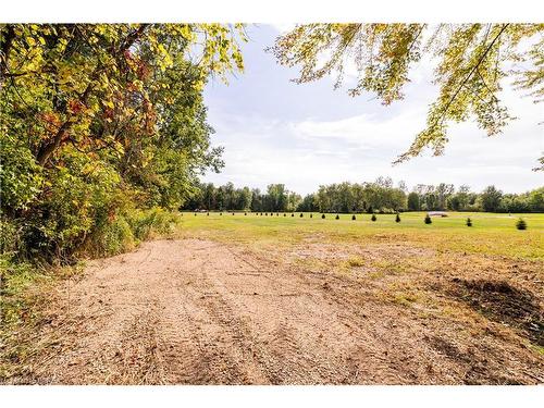 31 7Th Conc Road, Burford, ON 