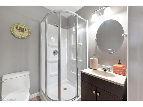 481 Lynden Road, Brantford, ON - Indoor Photo Showing Bathroom