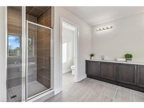 46 Mears Place, Paris, ON - Indoor Photo Showing Bathroom