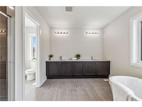 46 Mears Place, Paris, ON - Indoor Photo Showing Bathroom