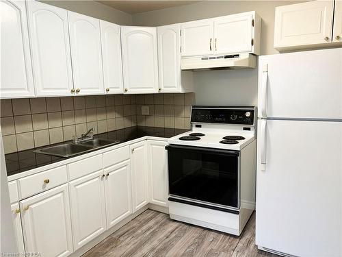 7-379 Darling Street, Brantford, ON - Indoor Photo Showing Kitchen With Double Sink