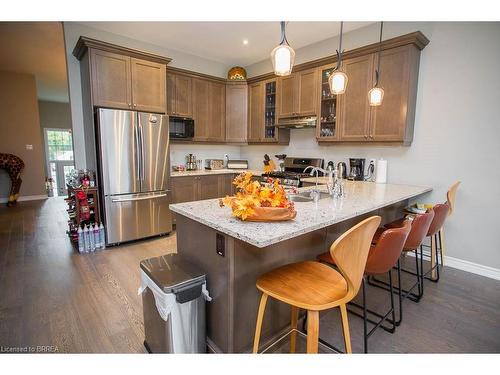 389 Erie Avenue, Brantford, ON - Indoor Photo Showing Kitchen With Stainless Steel Kitchen