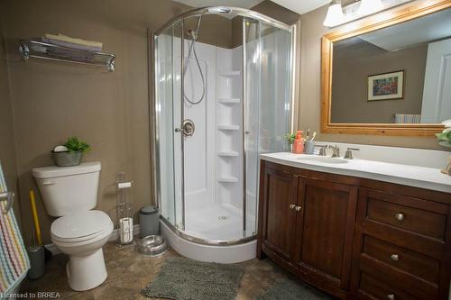 52 Beckett Drive, Brantford, ON - Indoor Photo Showing Bathroom