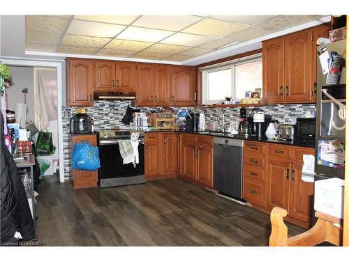 229 West 33Rd Street, Hamilton, ON - Indoor Photo Showing Kitchen With Double Sink