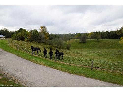 2606 Harrisburg Road, Lynden, ON - Outdoor With View