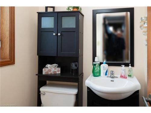 2606 Harrisburg Road, Lynden, ON - Indoor Photo Showing Bathroom