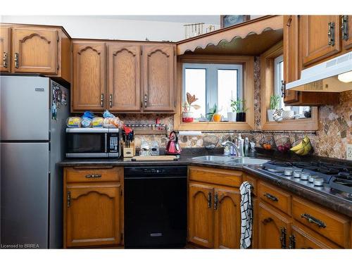 2606 Harrisburg Road, Lynden, ON - Indoor Photo Showing Kitchen With Double Sink