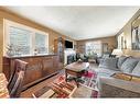 388 Marlborough Street, Brantford, ON  - Indoor Photo Showing Living Room With Fireplace 