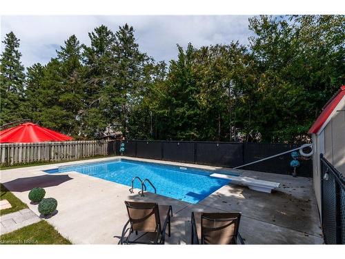 17 Trimdon Avenue, Brantford, ON - Outdoor With In Ground Pool With Backyard