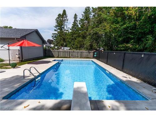 17 Trimdon Avenue, Brantford, ON - Outdoor With In Ground Pool With Backyard