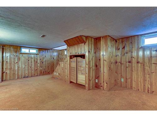 87 Mintern Avenue, Brantford, ON - Indoor Photo Showing Basement