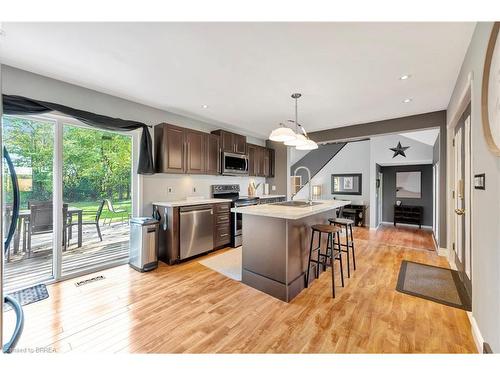 1026 2Nd Conc Rd Str Road, Delhi, ON - Indoor Photo Showing Kitchen