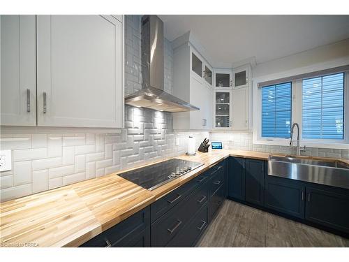 2 Carroll Lane, Brantford, ON - Indoor Photo Showing Kitchen With Double Sink