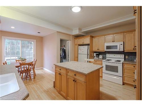 183 St Paul Avenue, Brantford, ON - Indoor Photo Showing Kitchen