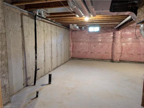 121 Bilanski Farm Road, Brantford, ON - Indoor Photo Showing Basement