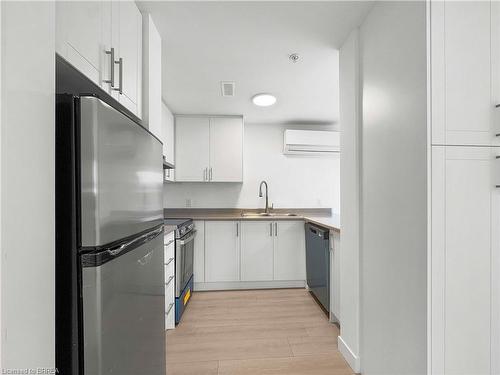 105-252-266 Catharine Street N, Hamilton, ON - Indoor Photo Showing Kitchen With Double Sink