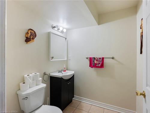 39 Hunter Way, Brantford, ON - Indoor Photo Showing Bathroom