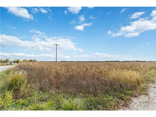 75 Highway 53, Burford, ON - Outdoor With View