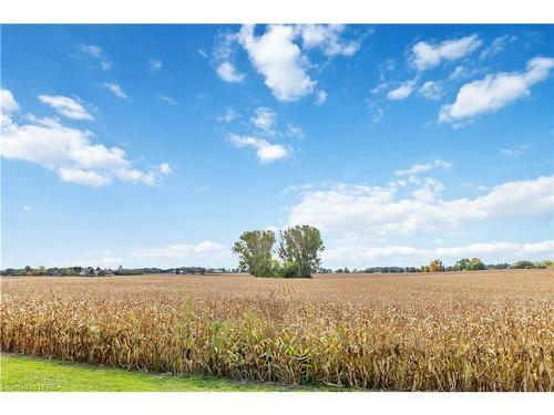 75 Highway 53, Burford, ON - Outdoor With View