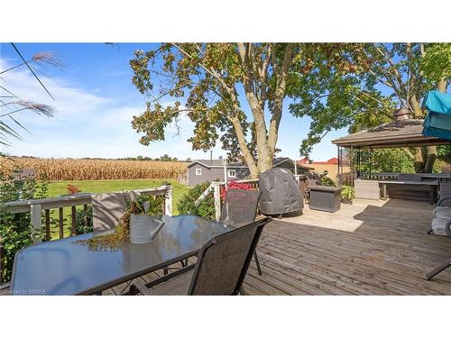 1331 Concession 12 Road, Langton, ON - Outdoor With Deck Patio Veranda