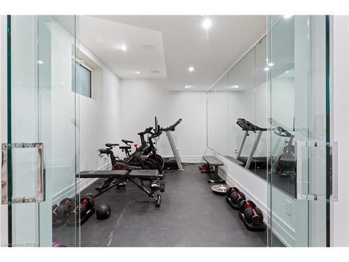 239 Green Street, Burlington, ON - Indoor Photo Showing Gym Room