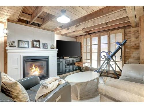 41 Locks Road, Brantford, ON - Indoor Photo Showing Living Room With Fireplace