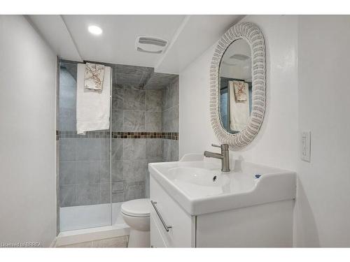 41 Locks Road, Brantford, ON - Indoor Photo Showing Bathroom