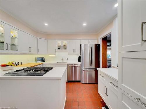 282 Dufferin Avenue, Brantford, ON - Indoor Photo Showing Kitchen With Stainless Steel Kitchen With Upgraded Kitchen