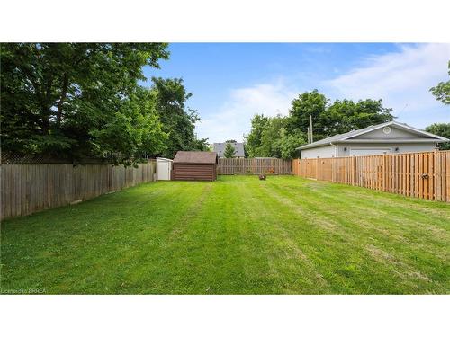 28 Frank Street, Brantford, ON - Outdoor With Backyard