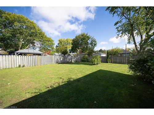 9 Willow Drive, Brantford, ON - Outdoor With Backyard