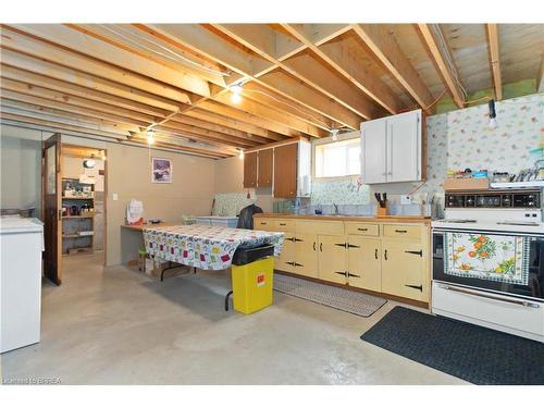 116 Terrace Hill Street, Brantford, ON - Indoor Photo Showing Basement