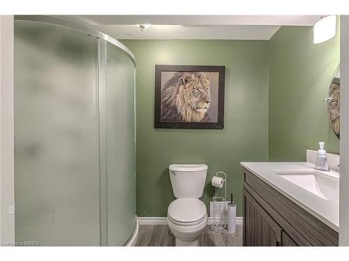 287 Brock Street, Brantford, ON - Indoor Photo Showing Bathroom