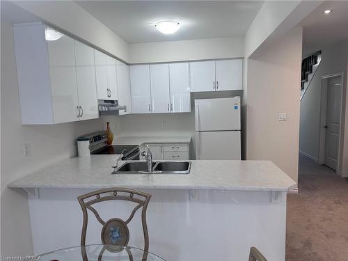 110 Flagg Avenue, Paris, ON - Indoor Photo Showing Kitchen With Double Sink