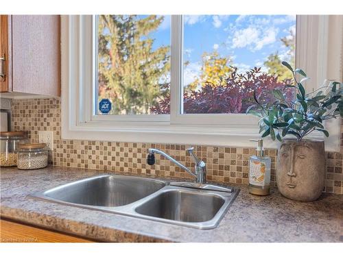 64 Brier Park Road, Brantford, ON - Indoor Photo Showing Kitchen With Double Sink