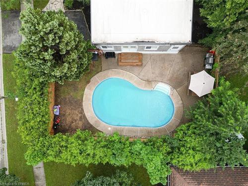 122 Balmoral Drive, Brantford, ON - Outdoor With In Ground Pool