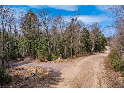 1814 Riding Ranch Road, South River, ON - Outdoor With View