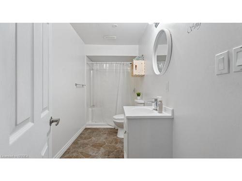 67 Yu Boulevard, Waterford, ON - Indoor Photo Showing Bathroom