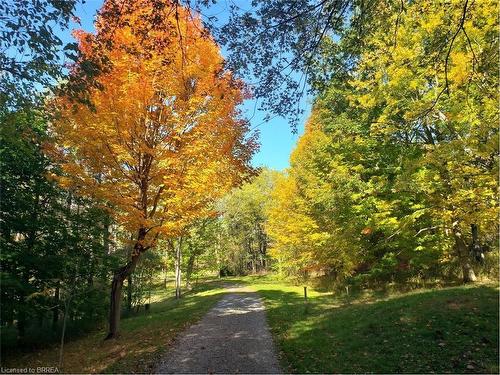 295 Brant Road, St. George, ON - Outdoor With View