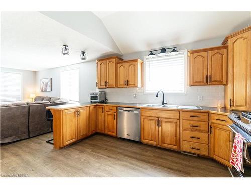 66 Leamon Street, Waterford, ON - Indoor Photo Showing Kitchen With Double Sink