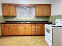 Upper-131 Baldwin Avenue, Brantford, ON  - Indoor Photo Showing Kitchen With Double Sink 