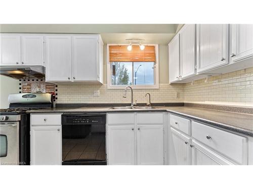 Upper-203 Brantwood Park Road, Brantford, ON - Indoor Photo Showing Kitchen With Double Sink